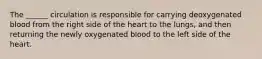 The ______ circulation is responsible for carrying deoxygenated blood from the right side of the heart to the lungs, and then returning the newly oxygenated blood to the left side of the heart.