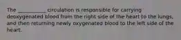 The ___________ circulation is responsible for carrying deoxygenated blood from the right side of the heart to the lungs, and then returning newly oxygenated blood to the left side of the heart.