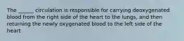 The ______ circulation is responsible for carrying deoxygenated blood from the right side of the heart to the lungs, and then returning the newly oxygenated blood to the left side of the heart