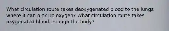 What circulation route takes deoxygenated blood to the lungs where it can pick up oxygen? What circulation route takes oxygenated blood through the body?