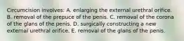 Circumcision involves: A. enlarging the external urethral orifice. B. removal of the prepuce of the penis. C. removal of the corona of the glans of the penis. D. surgically constructing a new external urethral orifice. E. removal of the glans of the penis.