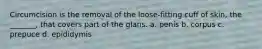 Circumcision is the removal of the loose-fitting cuff of skin, the _______, that covers part of the glans. a. penis b. corpus c. prepuce d. epididymis