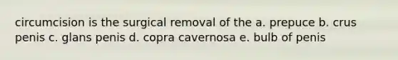 circumcision is the surgical removal of the a. prepuce b. crus penis c. glans penis d. copra cavernosa e. bulb of penis