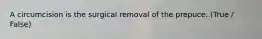 A circumcision is the surgical removal of the prepuce. (True / False)