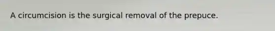 A circumcision is the surgical removal of the prepuce.