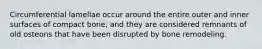 Circumferential lamellae occur around the entire outer and inner surfaces of compact bone, and they are considered remnants of old osteons that have been disrupted by bone remodeling.