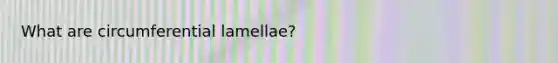What are circumferential lamellae?