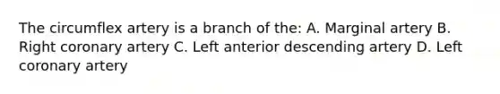 The circumflex artery is a branch of the: A. Marginal artery B. Right coronary artery C. Left anterior descending artery D. Left coronary artery