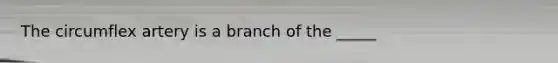 The circumflex artery is a branch of the _____