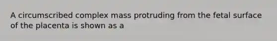 A circumscribed complex mass protruding from the fetal surface of the placenta is shown as a