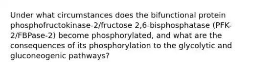 Under what circumstances does the bifunctional protein phosphofructokinase-2/fructose 2,6-bisphosphatase (PFK-2/FBPase-2) become phosphorylated, and what are the consequences of its phosphorylation to the glycolytic and gluconeogenic pathways?