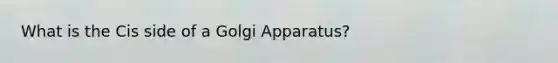 What is the Cis side of a Golgi Apparatus?