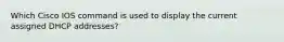 Which Cisco IOS command is used to display the current assigned DHCP addresses?