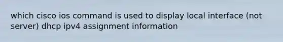 which cisco ios command is used to display local interface (not server) dhcp ipv4 assignment information