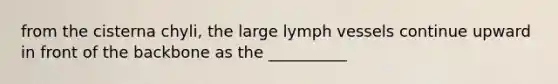 from the cisterna chyli, the large lymph vessels continue upward in front of the backbone as the __________