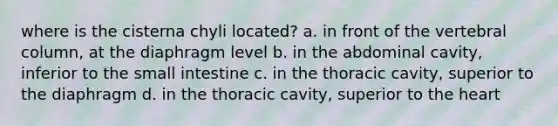 where is the cisterna chyli located? a. in front of the vertebral column, at the diaphragm level b. in the abdominal cavity, inferior to the small intestine c. in the thoracic cavity, superior to the diaphragm d. in the thoracic cavity, superior to the heart