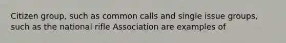 Citizen group, such as common calls and single issue groups, such as the national rifle Association are examples of