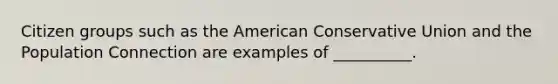 Citizen groups such as the American Conservative Union and the Population Connection are examples of __________.