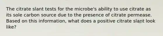 The citrate slant tests for the microbe's ability to use citrate as its sole carbon source due to the presence of citrate permease. Based on this information, what does a positive citrate slant look like?