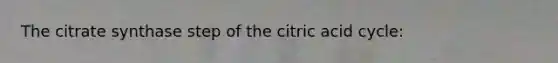 The citrate synthase step of the citric acid cycle: