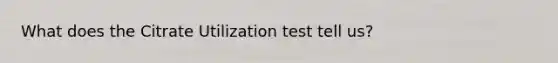 What does the Citrate Utilization test tell us?