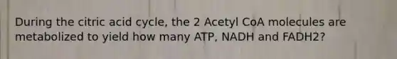 During the citric acid cycle, the 2 Acetyl CoA molecules are metabolized to yield how many ATP, NADH and FADH2?