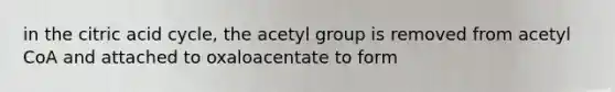 in the citric acid cycle, the acetyl group is removed from acetyl CoA and attached to oxaloacentate to form