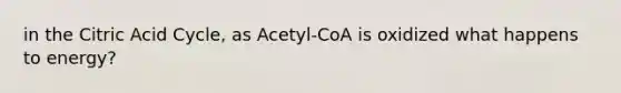 in the Citric Acid Cycle, as Acetyl-CoA is oxidized what happens to energy?