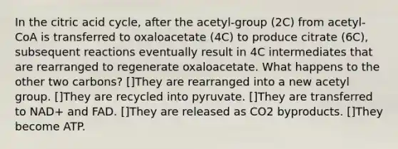 In the citric acid cycle, after the acetyl-group (2C) from acetyl-CoA is transferred to oxaloacetate (4C) to produce citrate (6C), subsequent reactions eventually result in 4C intermediates that are rearranged to regenerate oxaloacetate. What happens to the other two carbons? []They are rearranged into a new acetyl group. []They are recycled into pyruvate. []They are transferred to NAD+ and FAD. []They are released as CO2 byproducts. []They become ATP.