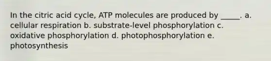 In the citric acid cycle, ATP molecules are produced by _____. a. cellular respiration b. substrate-level phosphorylation c. <a href='https://www.questionai.com/knowledge/kFazUb9IwO-oxidative-phosphorylation' class='anchor-knowledge'>oxidative phosphorylation</a> d. photophosphorylation e. photosynthesis