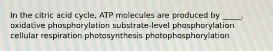 In the citric acid cycle, ATP molecules are produced by _____. <a href='https://www.questionai.com/knowledge/kFazUb9IwO-oxidative-phosphorylation' class='anchor-knowledge'>oxidative phosphorylation</a> substrate-level phosphorylation cellular respiration photosynthesis photophosphorylation