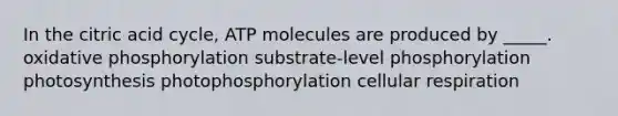 In the citric acid cycle, ATP molecules are produced by _____. <a href='https://www.questionai.com/knowledge/kFazUb9IwO-oxidative-phosphorylation' class='anchor-knowledge'>oxidative phosphorylation</a> substrate-level phosphorylation photosynthesis photophosphorylation cellular respiration