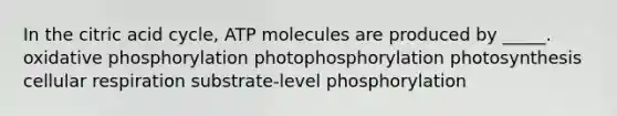 In the citric acid cycle, ATP molecules are produced by _____. oxidative phosphorylation photophosphorylation photosynthesis cellular respiration substrate-level phosphorylation