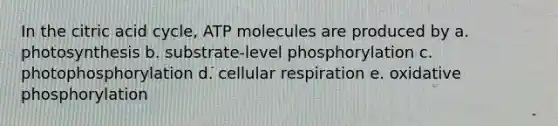 In the citric acid cycle, ATP molecules are produced by a. photosynthesis b. substrate-level phosphorylation c. photophosphorylation d. cellular respiration e. oxidative phosphorylation