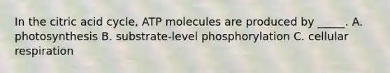 In the citric acid cycle, ATP molecules are produced by _____. A. photosynthesis B. substrate-level phosphorylation C. cellular respiration