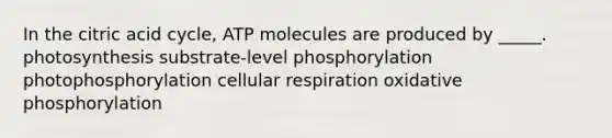 In the citric acid cycle, ATP molecules are produced by _____. photosynthesis substrate-level phosphorylation photophosphorylation cellular respiration oxidative phosphorylation