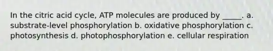 In the citric acid cycle, ATP molecules are produced by _____. a. substrate-level phosphorylation b. oxidative phosphorylation c. photosynthesis d. photophosphorylation e. cellular respiration