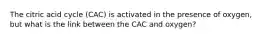 The citric acid cycle (CAC) is activated in the presence of oxygen, but what is the link between the CAC and oxygen?