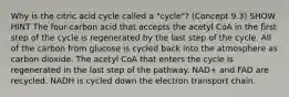 Why is the citric acid cycle called a "cycle"? (Concept 9.3) SHOW HINT The four-carbon acid that accepts the acetyl CoA in the first step of the cycle is regenerated by the last step of the cycle. All of the carbon from glucose is cycled back into the atmosphere as carbon dioxide. The acetyl CoA that enters the cycle is regenerated in the last step of the pathway. NAD+ and FAD are recycled. NADH is cycled down the electron transport chain.