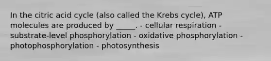 In the citric acid cycle (also called the Krebs cycle), ATP molecules are produced by _____. - cellular respiration - substrate-level phosphorylation - oxidative phosphorylation - photophosphorylation - photosynthesis