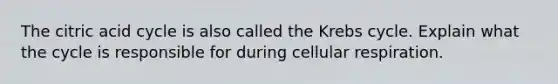 The citric acid cycle is also called the Krebs cycle. Explain what the cycle is responsible for during cellular respiration.