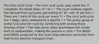 The Citric Acid Cycle • The citric acid cycle, also called the ??, completes the break down of ? to ? • The cycle oxidizes organic fuel derived from pyruvate, generating #? #?, and ?# per turn • There are ? turns of the cycle per every ?? • The citric acid cycle has ? steps, each catalyzed by a specific ? • The acetyl group of acetyl CoA joins the cycle by combining with oxaloacetate, forming citrate • The next seven steps decompose the citrate back to oxaloacetate, making the process a cycle • The NADH and FADH2 produced by the cycle relay electrons extracted from food to the electron transport chain