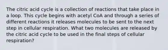 The citric acid cycle is a collection of reactions that take place in a loop. This cycle begins with acetyl CoA and through a series of different reactions it releases molecules to be sent to the next step in cellular respiration. What two molecules are released by the citric acid cycle to be used in the final steps of cellular respiration?