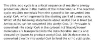 The citric acid cycle is a critical sequence of reactions energy production, place in the matrix of the mitochondria. The reaction cycle requires materials from the cytosol to be converted into acetyl CoA, which represents the starting point of a new cycle. Which of the following statements about acetyl CoA is true? (a) Amino acids can be converted into acetyl CoA. (b) Pyruvate is converted into acetyl CoA in the cytosol. (c) Triacylglycerol molecules are transported into the mitochondrial matrix and cleaved by lipases to produce acetyl CoA. (d) Oxaloacetate is converted directly into acetyl CoA to feed the citric acid cycle.