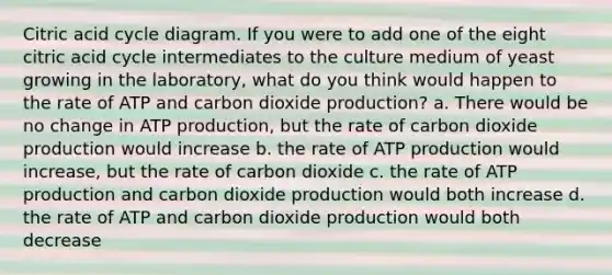 Citric acid cycle diagram. If you were to add one of the eight citric acid cycle intermediates to the culture medium of yeast growing in the laboratory, what do you think would happen to the rate of ATP and carbon dioxide production? a. There would be no change in ATP production, but the rate of carbon dioxide production would increase b. the rate of ATP production would increase, but the rate of carbon dioxide c. the rate of ATP production and carbon dioxide production would both increase d. the rate of ATP and carbon dioxide production would both decrease