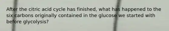 After the citric acid cycle has finished, what has happened to the six carbons originally contained in the glucose we started with before glycolysis?