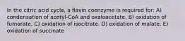 In the citric acid cycle, a flavin coenzyme is required for: A) condensation of acetyl-CoA and oxaloacetate. B) oxidation of fumarate. C) oxidation of isocitrate. D) oxidation of malate. E) oxidation of succinate