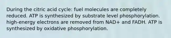 During the citric acid cycle: fuel molecules are completely reduced. ATP is synthesized by substrate level phosphorylation. high-energy electrons are removed from NAD+ and FADH. ATP is synthesized by <a href='https://www.questionai.com/knowledge/kFazUb9IwO-oxidative-phosphorylation' class='anchor-knowledge'>oxidative phosphorylation</a>.