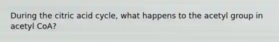 During the citric acid cycle, what happens to the acetyl group in acetyl CoA?