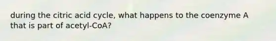 during the citric acid cycle, what happens to the coenzyme A that is part of acetyl-CoA?